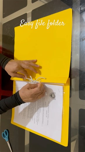 File folder with chart paper | School assignments and project file making