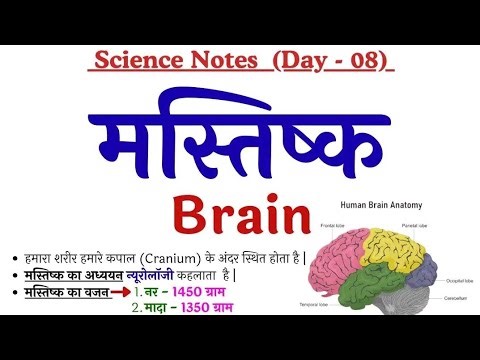 10 Mind-Blowing Science GK Facts You Never Knew!