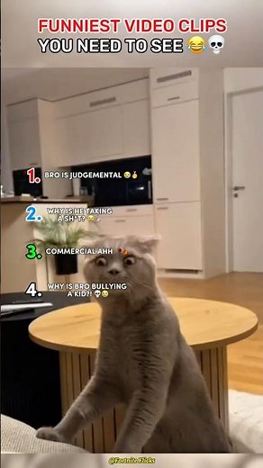 Funniest Video Clips You need to SEE 😂💀