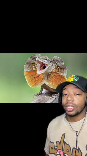 Corey Ewings on TikTok