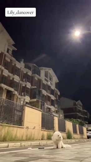 Easy dance, dance with bestie #dancewithbestie #mybestie #kpopcoverdance #dancingqueen #easydancetutorials #goviral #fypシ #beginnerdancetutorial #simpledance #friendshipdancechallenge #friendshipdance #groupdance #dancing #learnontiktok #learndancing