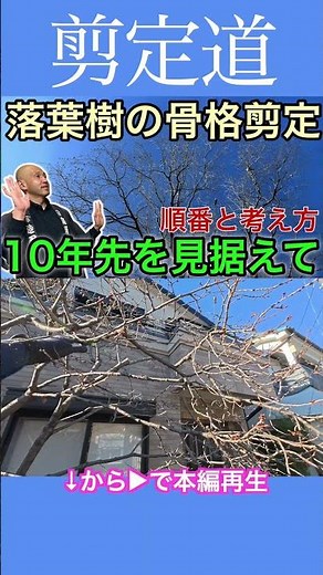 Deciduous tree skeletal pruning: sequence and approach. We pruned our cherry tree with a 10-year ...