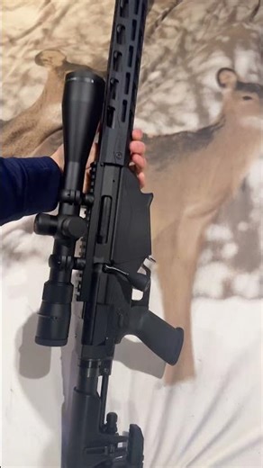 Satisfying Ruger Precision Rifle