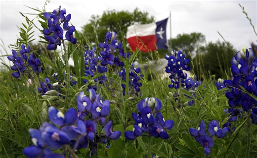 LIST: Unique spring festivals, events in Texas in 2026