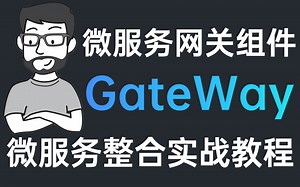微服务网关组件GateWay入门到实战11集教程，GateWay整合与应用实战