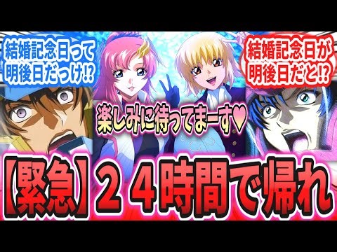 【IF】作戦行動中に結婚記念日が目前なのを思い出してしまった男達に対するネットの反応集【機動戦士ガンダムSEED FREEDOM】キラ・ヤマト｜アスラン・ザラ｜シン・アスカ｜ラクス｜カガリ｜ルナマリア