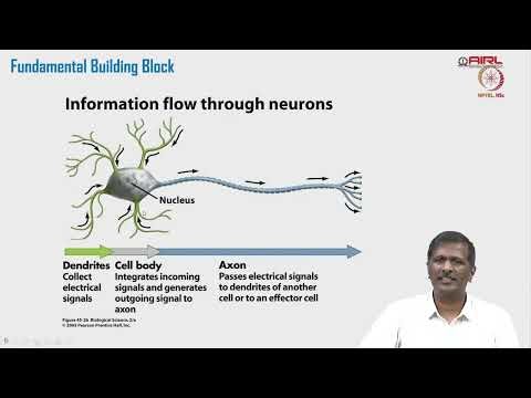 Lec 45 Essential of Neural Network for Aerial Perception