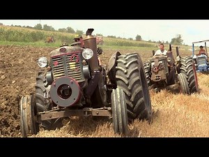 Aratura d'epoca domenica Baura 2025 - Landini testacalda | Vintage hot bulb tractors plowing