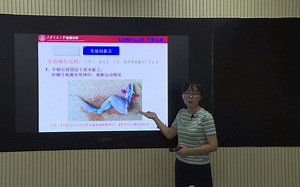 《动物的运动》一节中实验的设计和创新