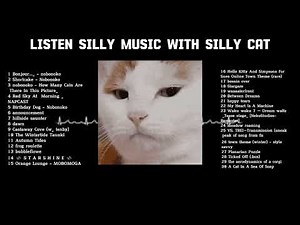 listen silly music with silly cat