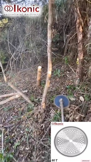 33K views · 118 reactions |  Ways to Use Your Brush Cutter Clearing...