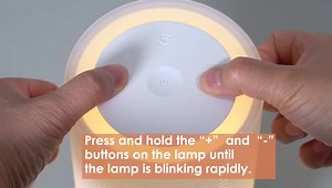 Video Guide for How to Add Friend Lamp