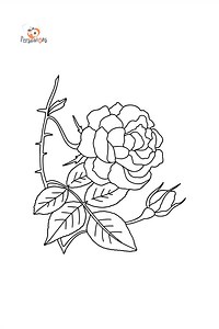 Coloriage Rosier grimpant rouge ♥ En ligne ou imprimer