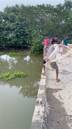 Beautiful Net Fishing In River #villagelife #fishing #fresh #Amazing #fishinglife #fish | Village 74