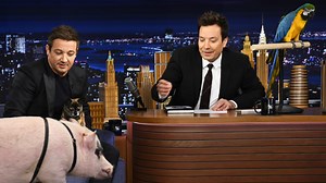 627K views · 8.2K reactions | Jeremy Renner brings out his emotional support dog Hershey, who needs some emotional support of his own  | The Tonight Show Starring Jimmy Fallon | Facebook