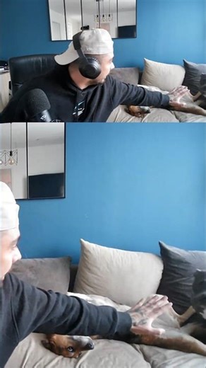 c'était pas dans le scripte ça 🤦#jeux #twitch #gaming #dog #humour #clips