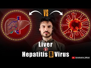 Hepatitis B Virus: Molecular Mechanism, Replication, and Immune Response Explained