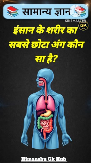 इंसान के शरीर का सबसे छोटा अंग कौन सा है? #gkinhindi #gkquestion #gkshorts