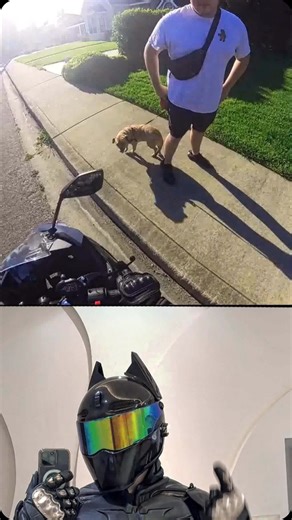 Batman biker moto memes 🦇☠️ on Instagram: "BATMAN Moto Armor! 🔥 Link in profile! . . . #superbike #bikeporn #bikelove #bike #bikes #biker #superbikes #moto #motorcycle #batmancosplay #motolife #motorbike #motocross #motorcycles #motogp #batman #custombikes #coolreel #motogirl #motos #viral #mototraveler #motoadventure #trending #trendingnow #bikeride #instamoto #bikelovers #bikelifestyle #custombikes"