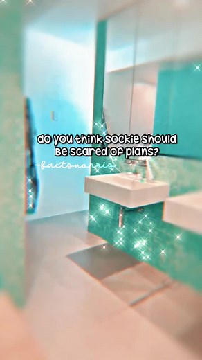 #catchmeknuckles #norrisnuts #norrisnutsfashion #norrisnutsfanpage