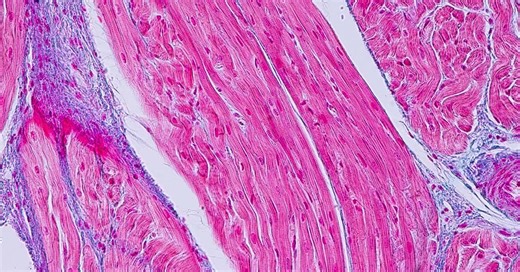 New Software Unlocks Secrets of Cell Signaling