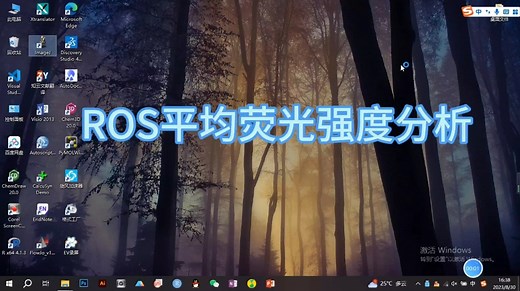 Image J-活性氧（ROS）平均荧光强度分析