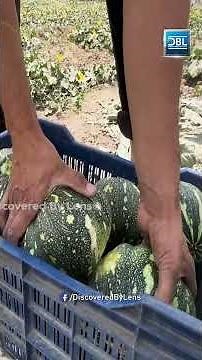 ਖੇਤੀ ਚੋਂ ਕਮਾਈ ਹੁੰਦੀ ਹੈ ਪਰ ਤਰੀਕੇ ਬਦਲਣੇ ਪੈਣੇ ਹਨ