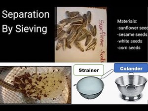 Science Activity Year 5: Separating Dry Mixtures through Sieving