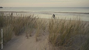 People walk along the Baltic beach in the evening in the fall against the background of a fence made of tree branches. The fence holds the sand dunes. Latvia, Baltic sea