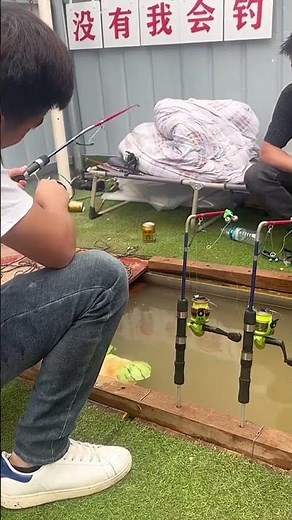 Cần câu cá tự động, câu cá lớn dễ dàng 😍 | Fishcamp Việt Nam #5 #fishing #carpfishing #fishinglure