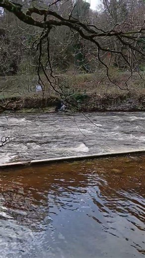 the River Ericht 18th March 2026