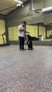 29K views · 1.1K reactions | Watch as we introduce Draco to the...