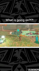 Welp! #zelda #tearsofthekingdom | Zelda fans PR