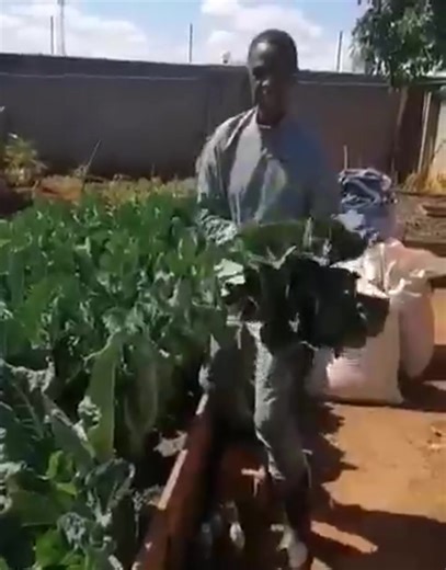 189K views · 7.3K reactions | ECL MOMENTS . | Zambia Reports | Facebook