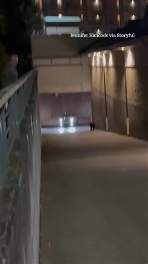 Hilarious moment police chase bear out of garage | The Sun