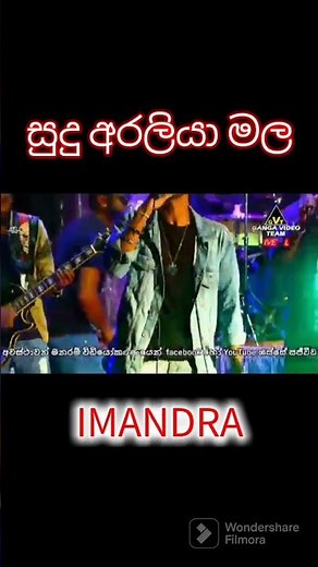 සුදු අරලියා මල || Sudu araliya mala|| Ajith muthukumarana song|| #song #live