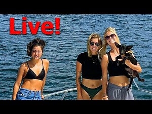 Live w/ a new puppy and crew!