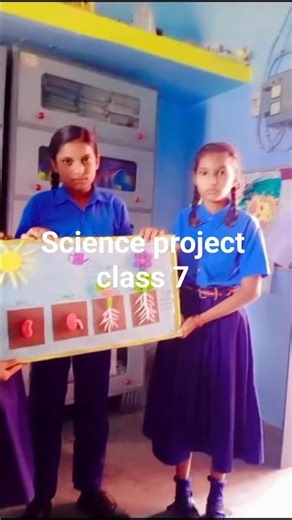 science project class 7 m. s Gidha