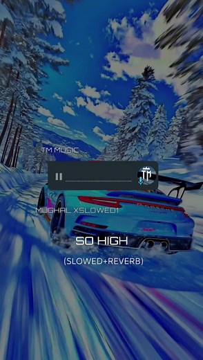 So High Full Song: SLOWED & REVERB Version