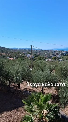Βέργα Καλαμάτα με την Αδέλφης Πετρονέλα