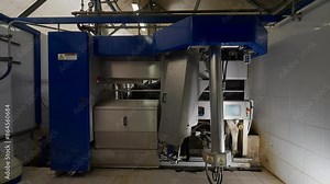 Farm milking machine collecting dairy form the cattle animal. Milking machine used at the farming facility. Automated milking machine gathering milk from the udder. Husbandry. Farming equipment