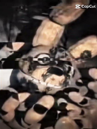 Edit Of Spring Trap #edit #vr