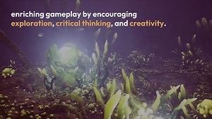 Environmental Puzzles And Challenges