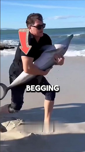 This Dolphin Came Back To Thank The Man Who Saved Him 🐬❤️ #shorts
