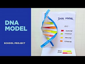 How to make a DNA Model from Paper ONLY | NO Glue NO Scissors