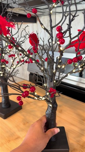 These black LED birch trees come in a pair — complete with adorable cardinal birds — perfect for your entryway, side tables, or anywhere that needs that cozy festive glow. Minimalist, magical, and totally next to go viral this season #LEDBirchTreeDecor #CardinalHolidayVibes #FestiveHomeGlow #CozySeasonDecorFinds #holidaytabledecor