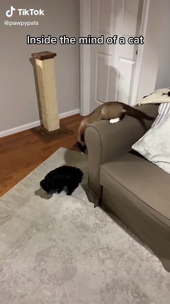 Sherlock Holmes Discombobulated: An Editing Journey