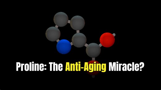 Proline's Role in Revitalizing Cellular Functions and Mitigating Aging