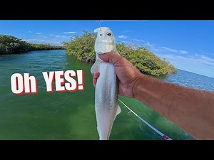 Can You Actually EAT Ladyfish? The Truth Will SHOCK You! *CATCH CLEAN COOK*