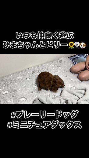 TikTokで田舎っぺ夫婦さんをチェック！